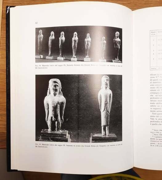 Il comizio di Roma dalle origini all'età di Augusto