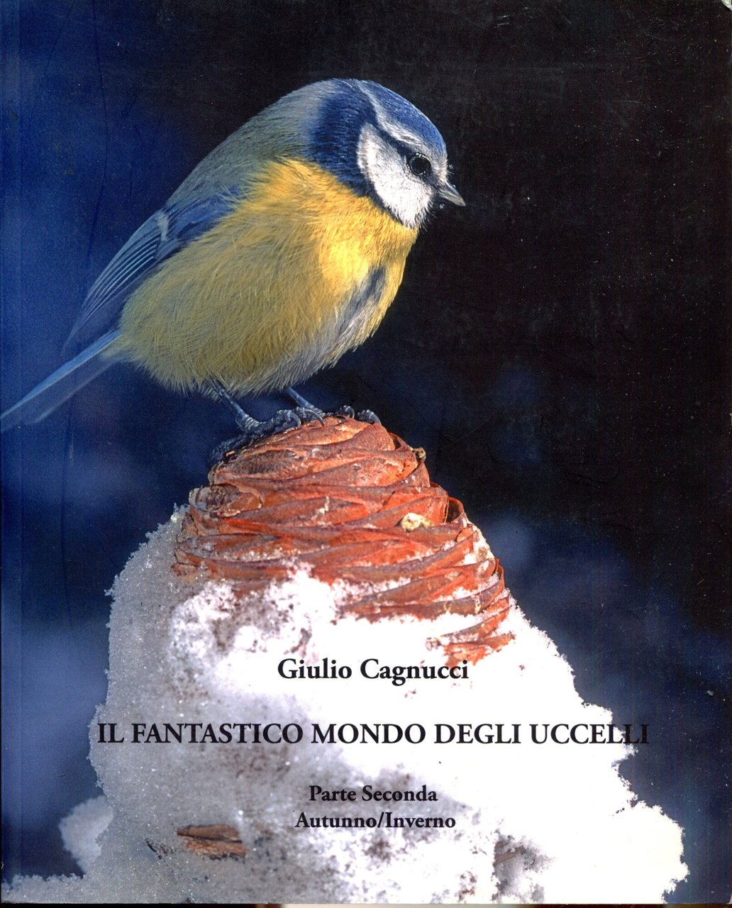 Il fantastico mondo degli uccelli. Come cambia la loro vita … | Immagine principale