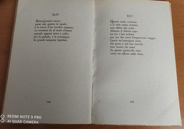 Il libro del forestiero poesie (Lo specchio)