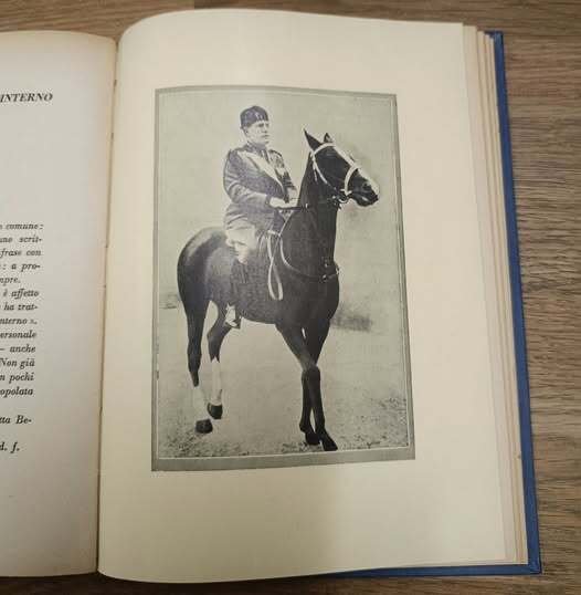 Il mio diario di guerra : 1915-1917