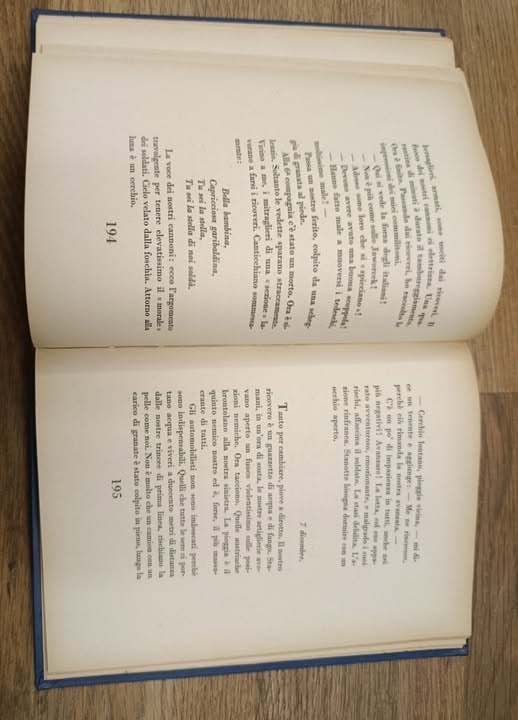 Il mio diario di guerra : 1915-1917