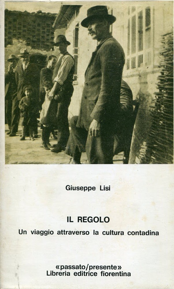 Il regolo