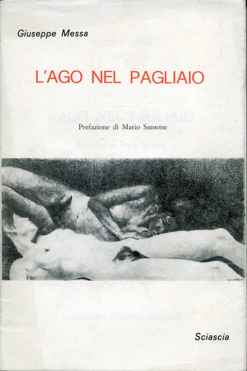 L'ago nel pagliaio | Immagine principale