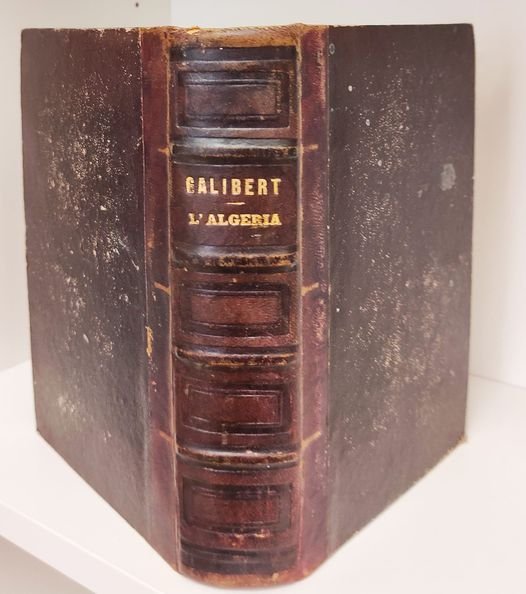 L'Algeria antica e moderna dai primi ordini de' Cartaginesi insino … | Immagine principale