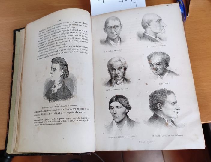 L' uomo delinquente in rapporto all'antropologia, giurisprudenza e alle discipline … | Immagine Gallery 4