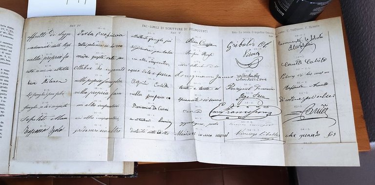 L' uomo delinquente in rapporto all'antropologia, giurisprudenza e alle discipline … | Immagine Gallery 6