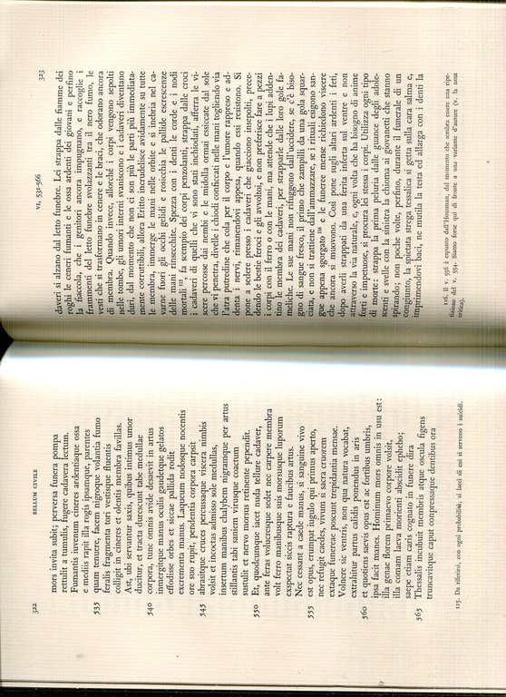 La guerra civile | Immagine Gallery 3