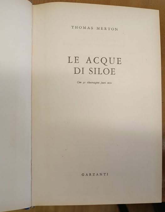 Le acque di Siloe | Immagine Gallery 3