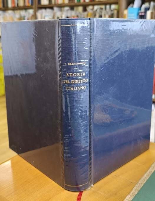 Lezioni di storia del diritto italiano : anno scolastico 1928-29/1929-30. … | Immagine principale