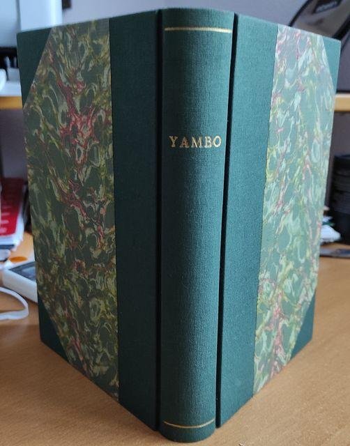 Lo scimmiottino verde. Racconto per i ragazzi con 100 disegni …