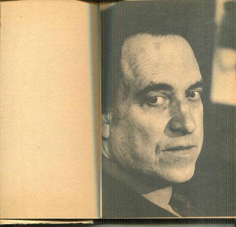 Luigi Montanarini, presentazione di Enrico Crispolti ; testimonianze di Italo … | Immagine Gallery 2