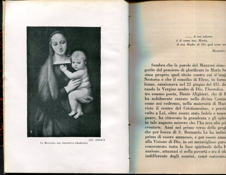 Maria nel poema di Dante : con introduzione sul concilio …