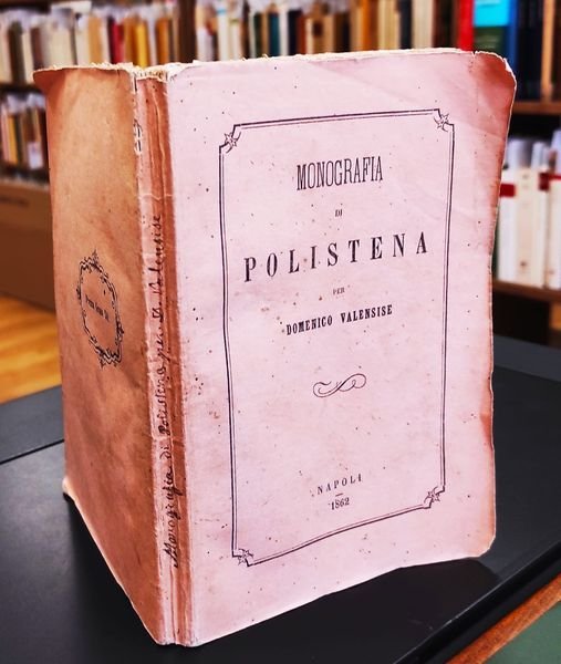 Monografia di Polistena | Immagine Gallery 1