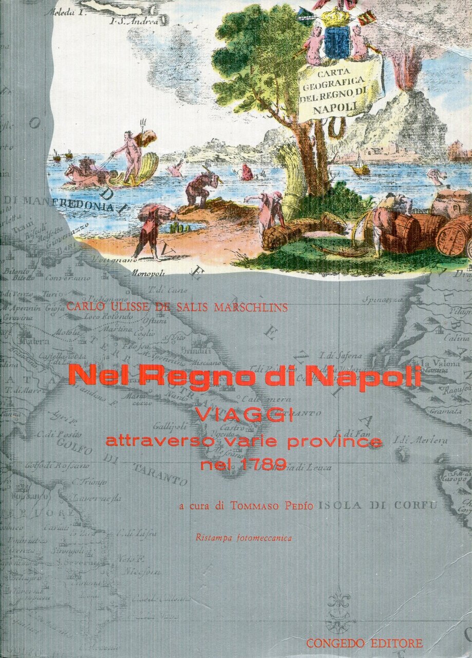 Nel Regno di Napoli : viaggi attraverso varie province nel …