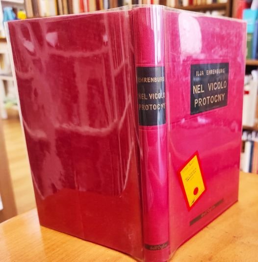 Nel vicolo Protocny : romanzo | Immagine principale