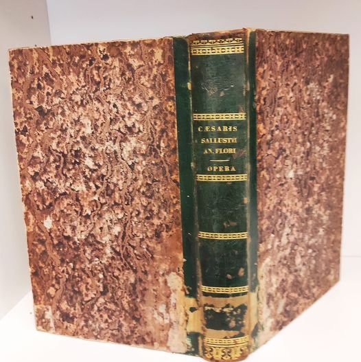 Nova scriptorum latinorum bibliotheca ad optimas editiones recensita accurantibus parisiensis …