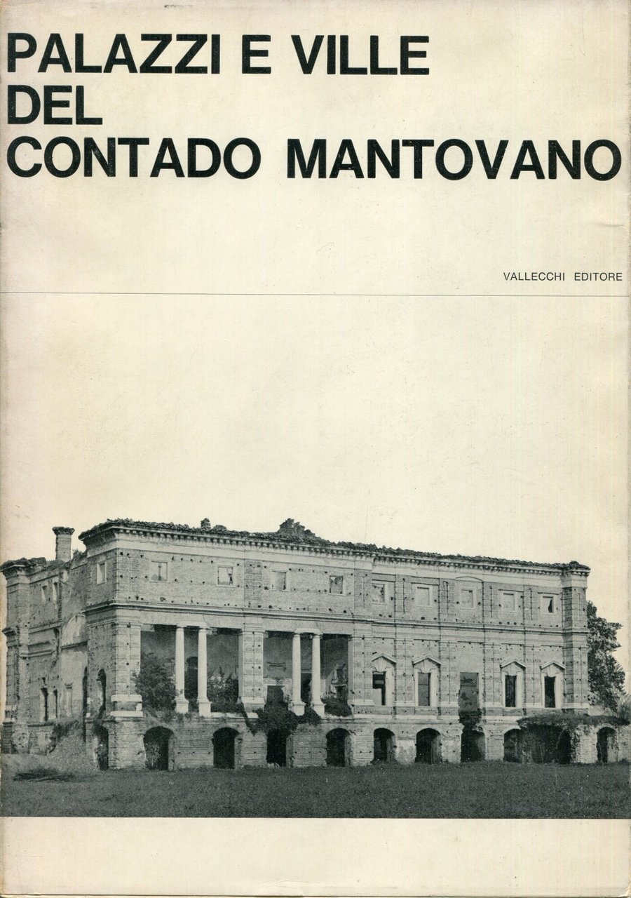 Palazzi e ville del contado mantovano | Immagine principale