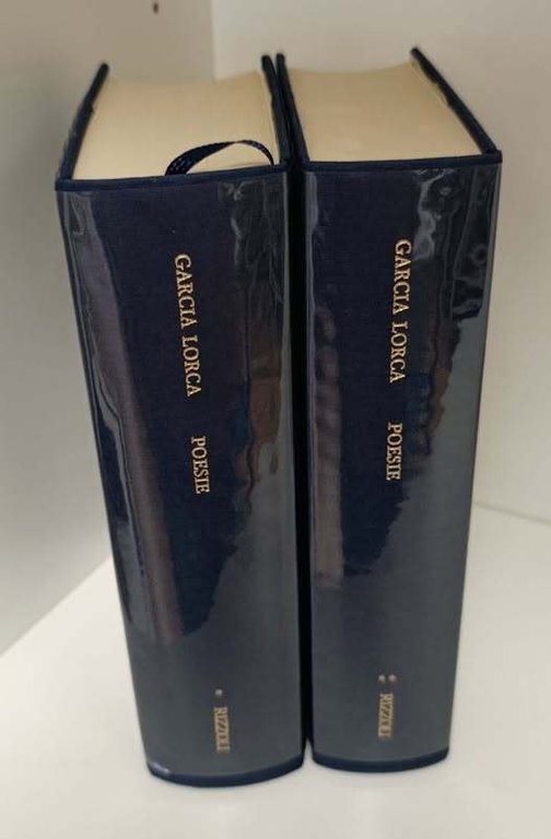 Poesie, 2 volumi a cura di Norbert von Prellwitz | Immagine Gallery 2