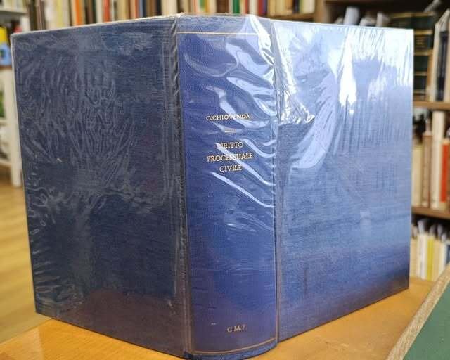 Principii di diritto processuale civile : le azioni, il processo … | Immagine principale