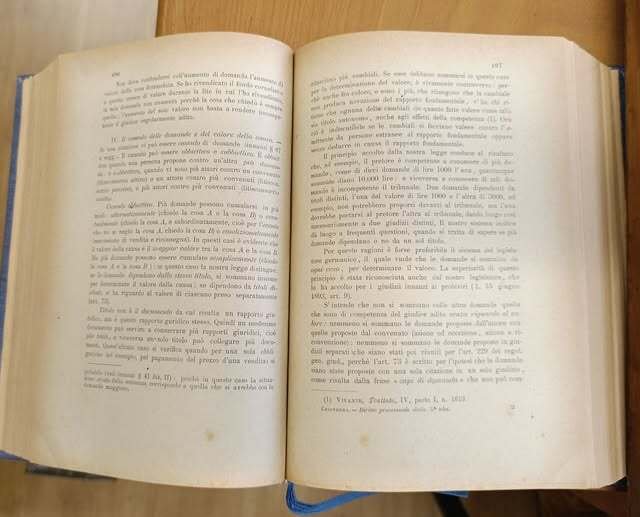 Principii di diritto processuale civile : le azioni, il processo … | Immagine Gallery 3