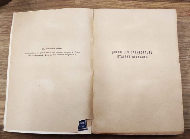 Quand les cathédrales étaient blanches : voyage au pays des …