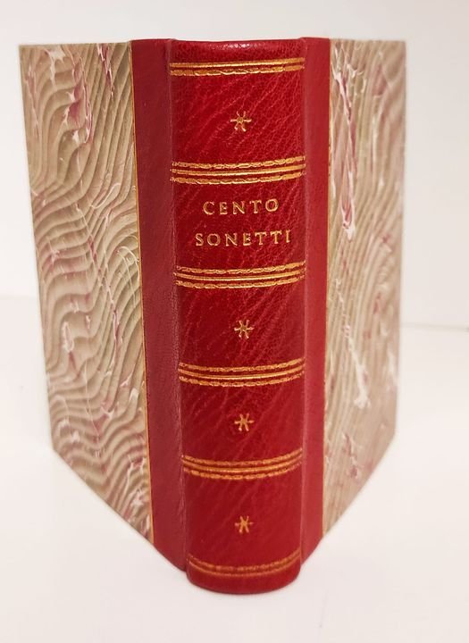 Raccolta di cento sonetti e d'altri componimenti poetici di varj … | Immagine principale