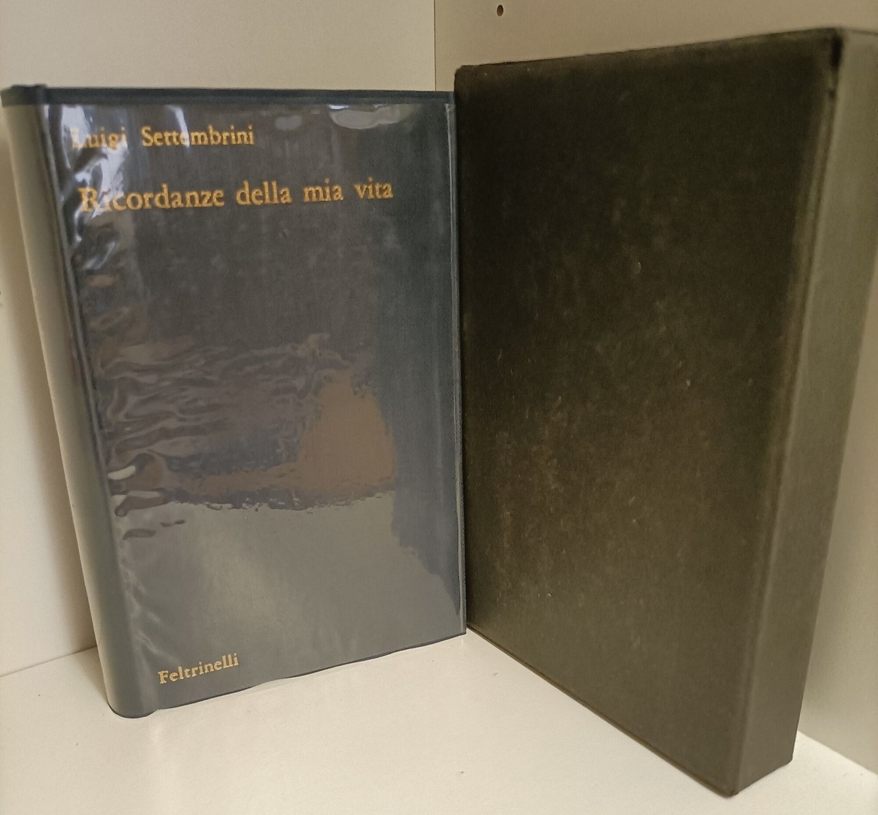 Ricordanze della mia vita e scritti autobiografici. A cura di … | Immagine principale