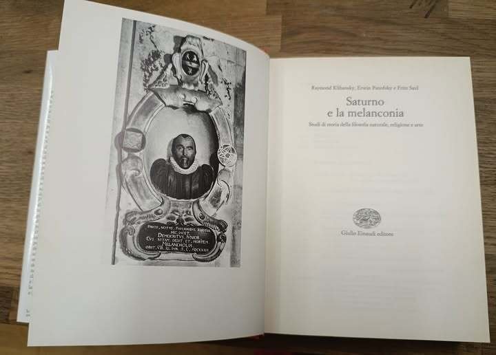 Saturno e la melanconia. Studi di storia della filosofia naturale, …