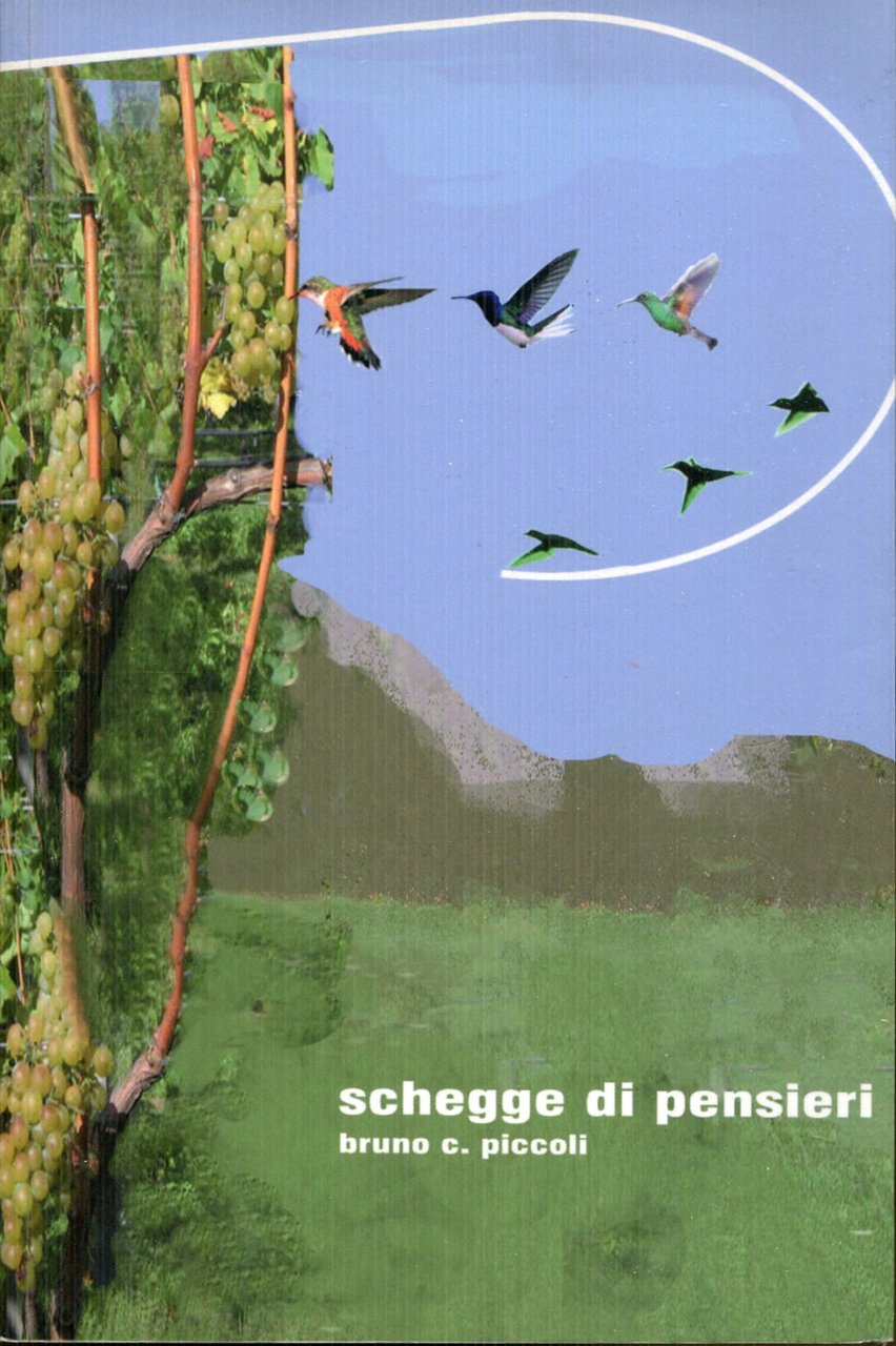 Schegge di pensieri, un'autobiografia