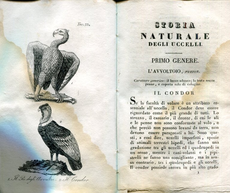 Storia naturale di Giorgio Luigi Leclerc conte di Buffon classificata …