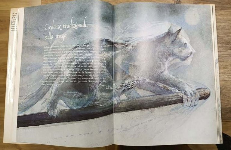 Streghe | Immagine Gallery 2