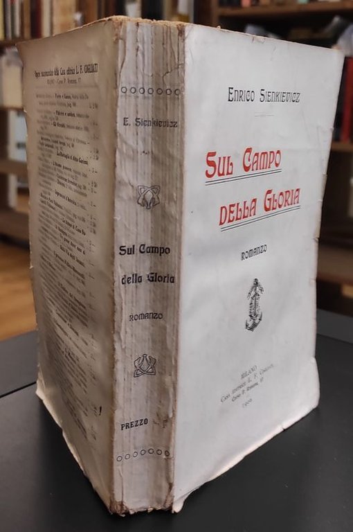 Sul campo della gloria, romanzo