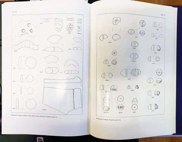 Tarquinia. Scavi sistematici nell'abitato. Campagne 1982-1988. I materiali (Vol. 2): …