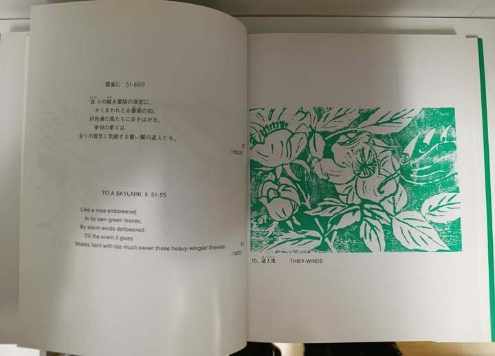 The Sensitive Plant, published in a bilingual book with woodcut … | Immagine Gallery 2