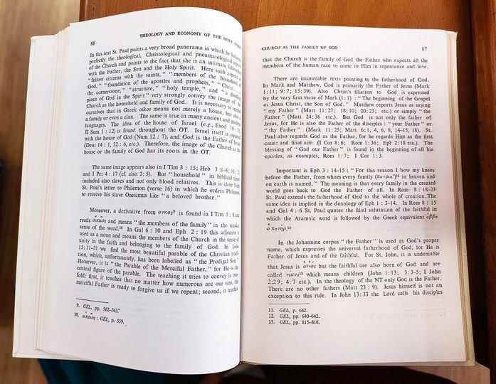 Theology and economy of the Holy Spirit : an Eastern …