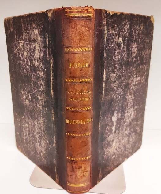 Vita e costumi degli animali: 4. Molluschi e zoofiti. 3. …