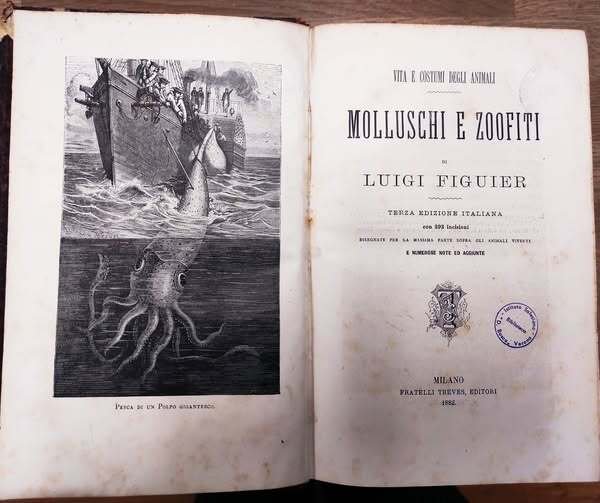 Vita e costumi degli animali: 4. Molluschi e zoofiti. 3. …