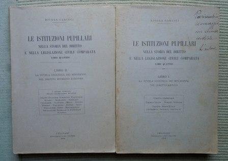 LE ISTITUZIONI PUPILLARI NELLA STORIA DEL DIRITTO E NELLA LEGISLAZIONE …