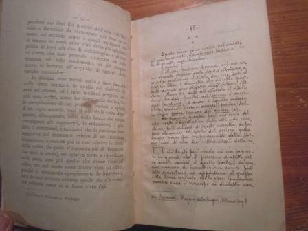 SUB TEGMINE FAGI (SOTTO UN TEGAME DI FAGIUOLI)