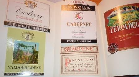 I VINI D'ITALIA - CON TESTIMONIANZE DI: ACCOLTI, G. ARPINO, …