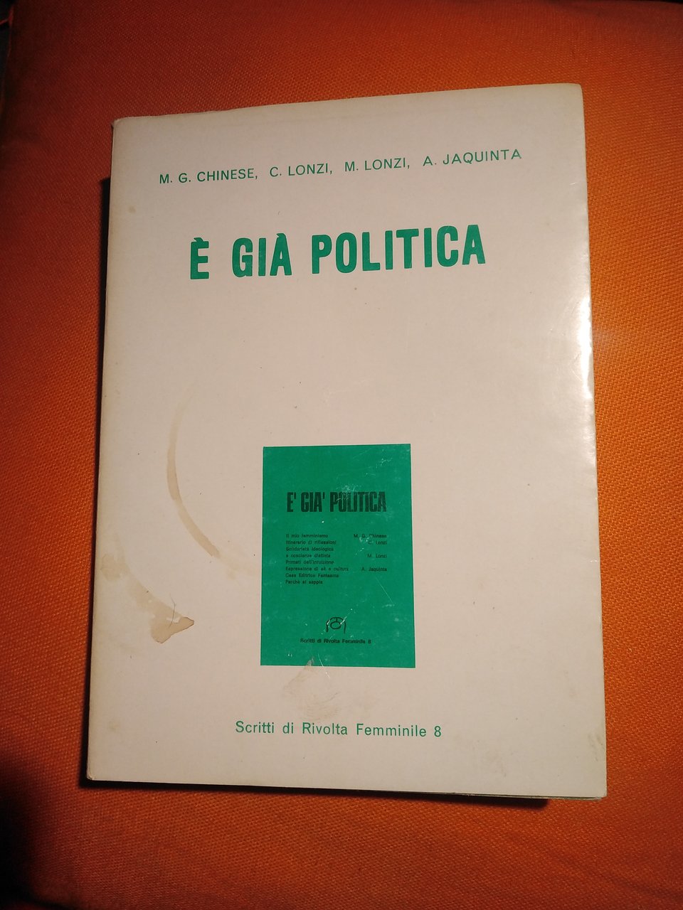 È GIÀ POLITICA