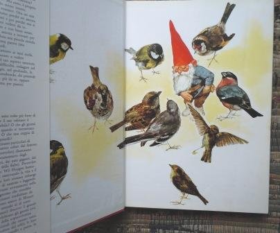 GNOMI - GNOMO DELLA FORESTA