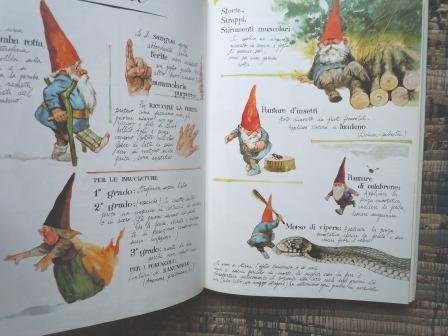 GNOMI - GNOMO DELLA FORESTA