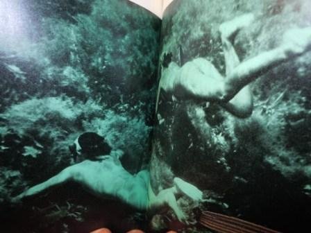 L'ISOLA DELLE PESCATRICI - QUARTA EDIZIONE 1964 - CON FOTOGRAFIE …