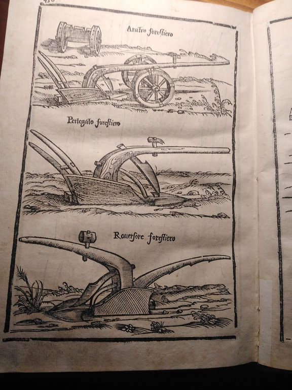 LE VINTI GIORNATE DELL'AGRICOLTURA ET DE' PIACERI DELLA VILLA DI …