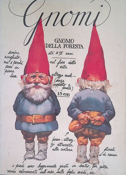 Gnomi