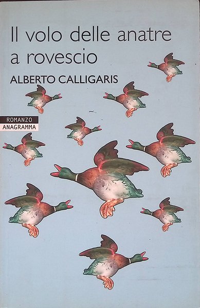 Il volo delle anatre a rovescio