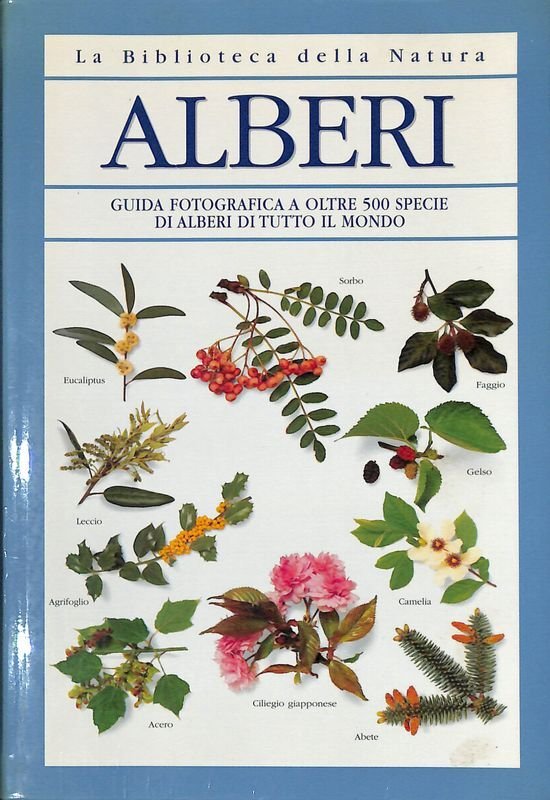 Alberi. Guida fotografica a oltre 500 specie di alberi di …