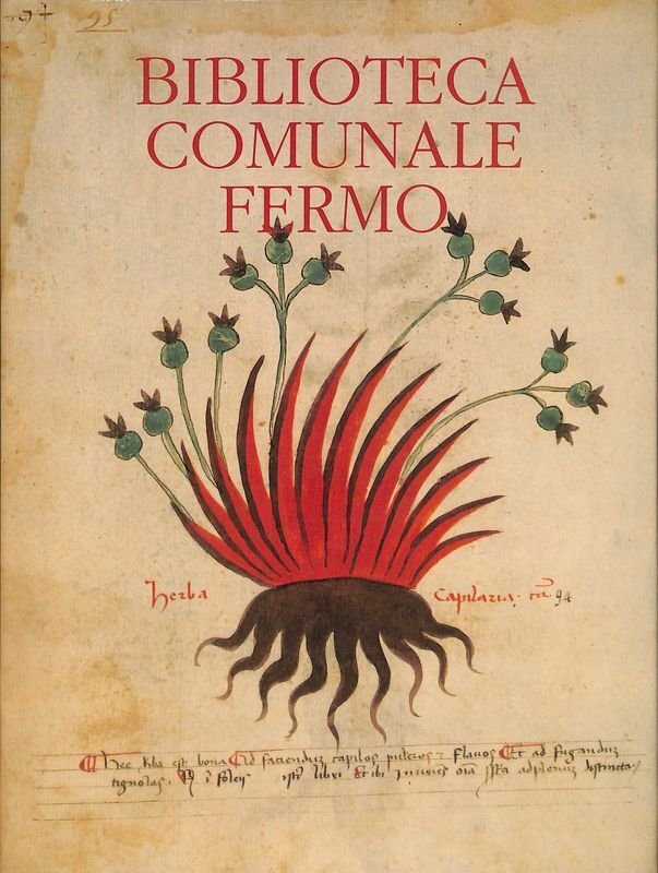 Biblioteca Comunale Fermo | Immagine principale