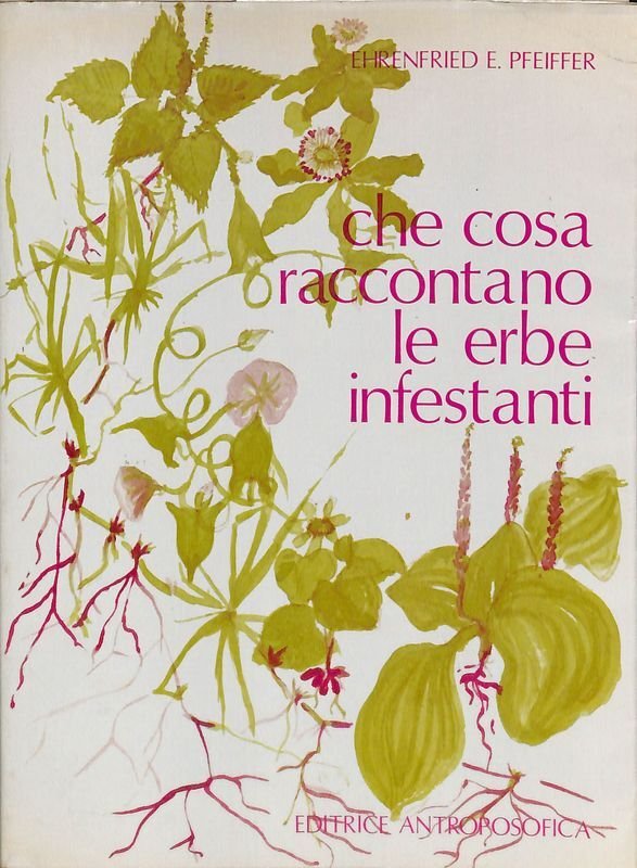 Che cosa raccontano le erbe infestanti